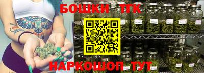 индика Обь