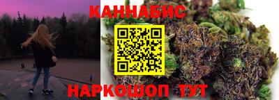 индика Обь
