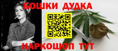 индика Обь