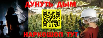 индика Обь