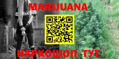 индика Обь