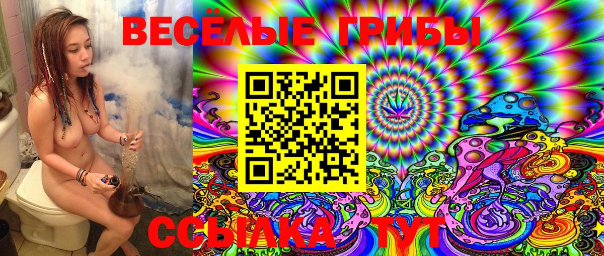 Галлюциногенные грибы Cubensis  Вход с VPN  Санкт-Петербург  сколько стоит  Галлюциногенные грибы Magic Shrooms 